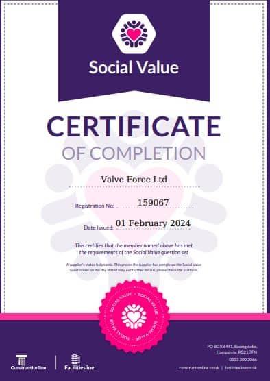 Social Value 010224